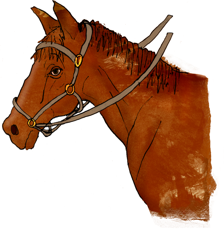 An illustration of a brown horse’s head and neck, wearing a bridle with reins, against a plain white background.