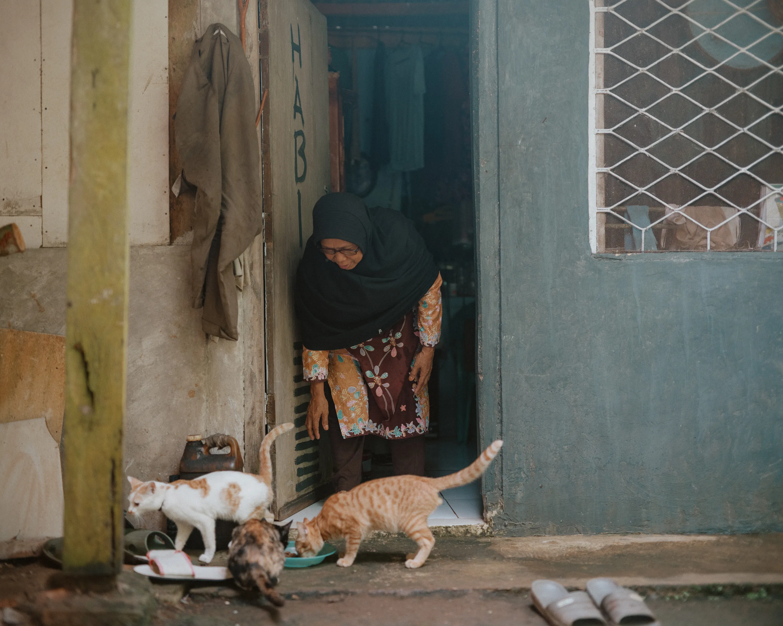 Cicih leans out of a doorway toward an orange-and-white cat, an orange tabby and a calico eating from a dish placed outside. Clothing hangs behind her and sandals rest on the ground in front of her.