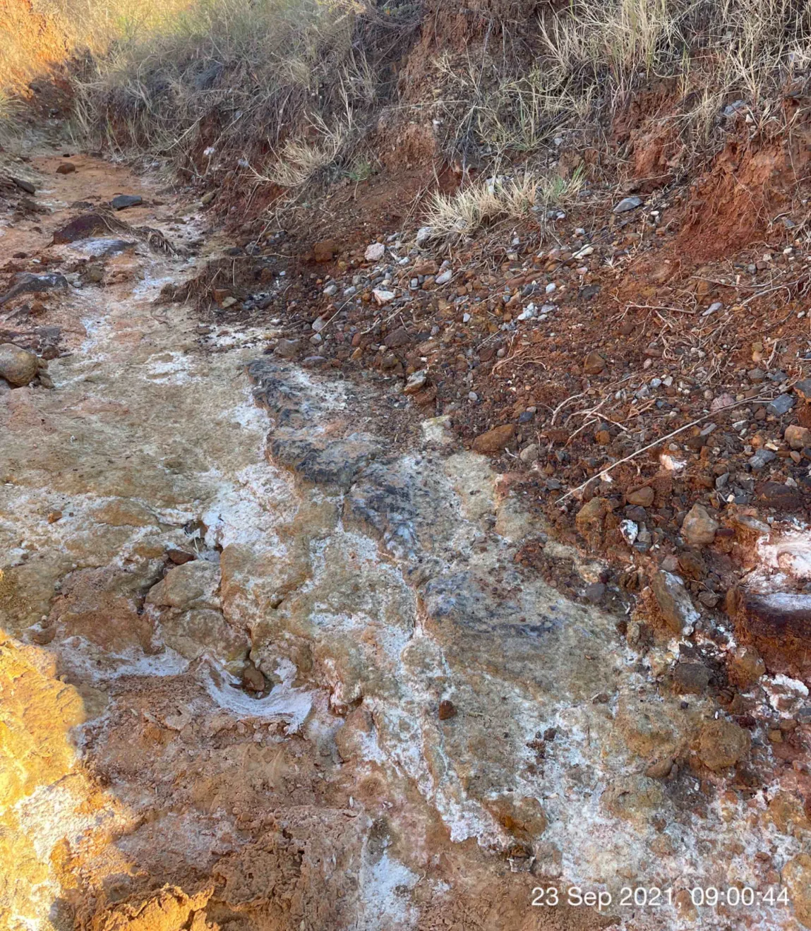 Two photographs show white residue covering muddy ground. Dead grass is visible in one of the photos.